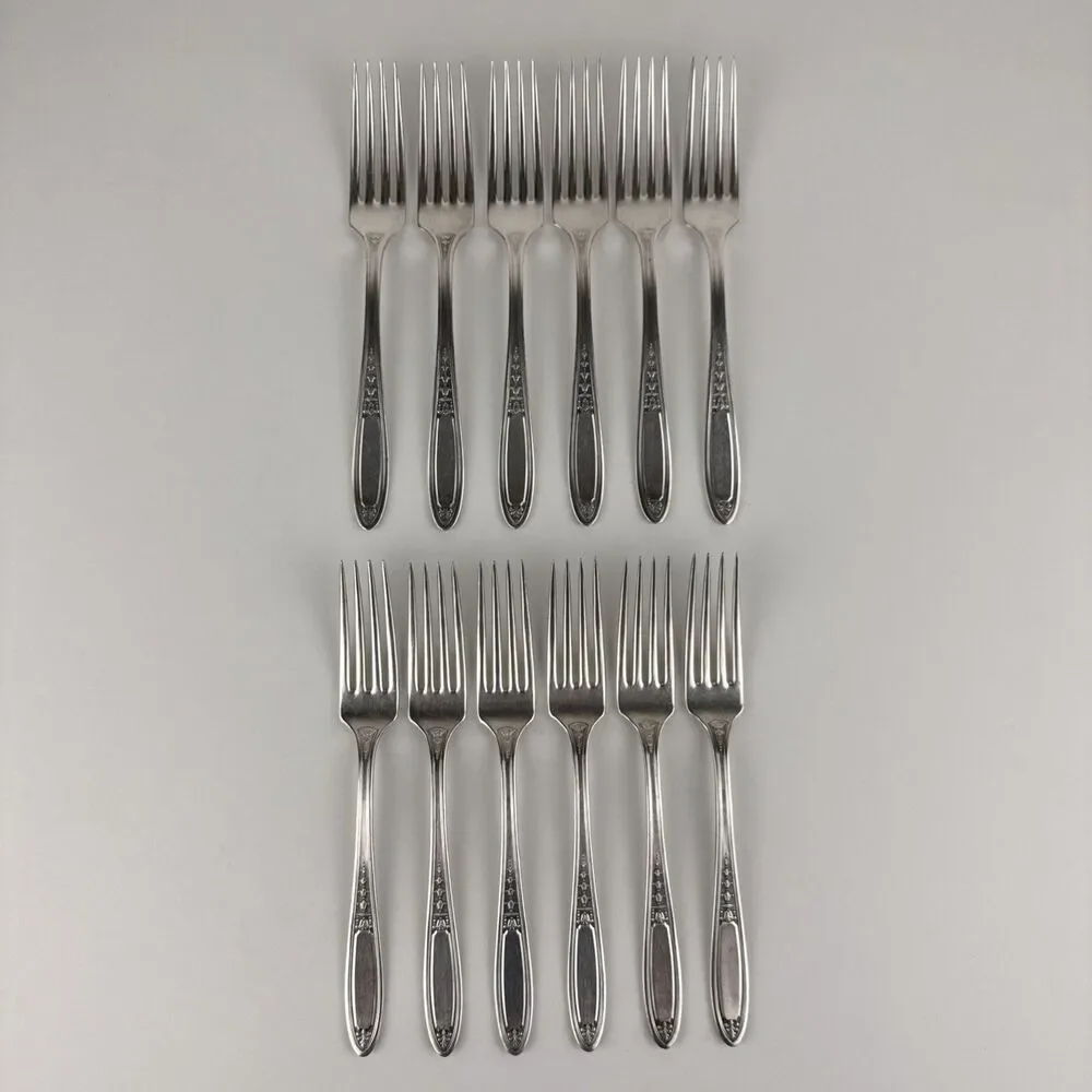 50-piece Set Tudor Plate Oneida Community Enchantment Bounty Silverware In Chest